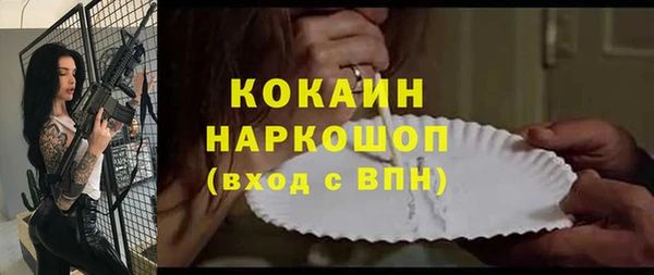 гидропоника Рославль