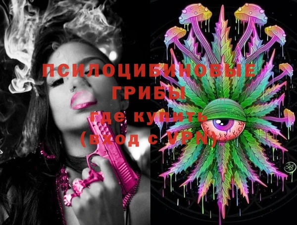 МДПВ Ростов