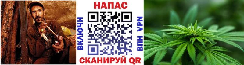 Конопля марихуана Щигры